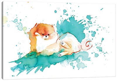 Pomi Canvas Art Print - Pomeranian Art