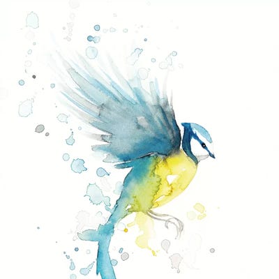 Blue Tit Bird II by The Cosmic Whale canvas print