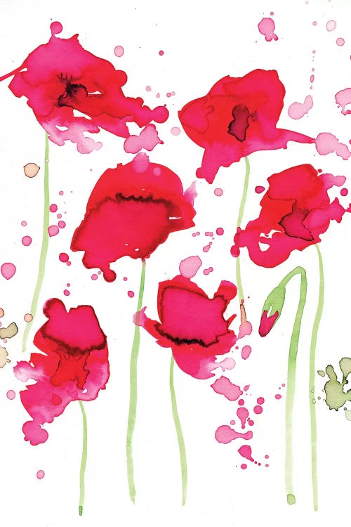 Poppies by The Cosmic Whale canvas print
