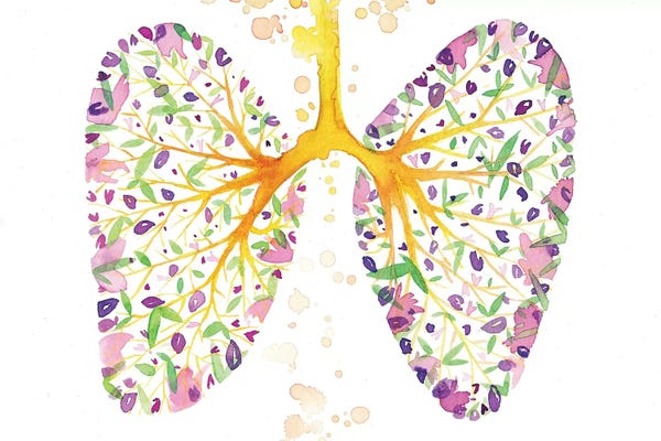 The Cosmic Whale: Pulmos by The Cosmic Whale