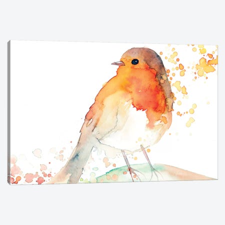 Robin Bird Canvas Print #TCW34} by The Cosmic Whale Canvas Art