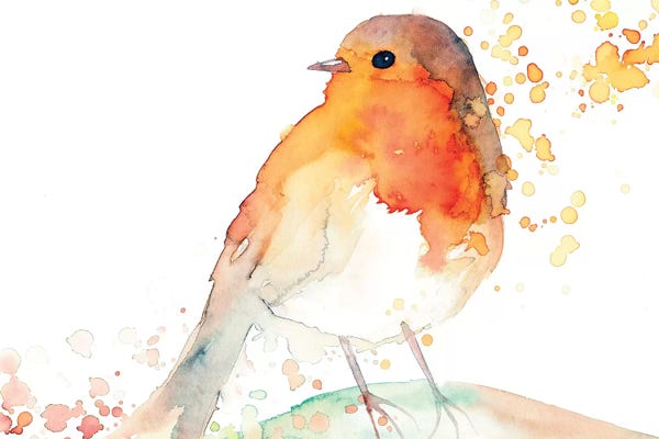 The Cosmic Whale: Robin Bird by The Cosmic Whale