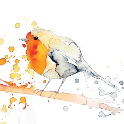 Robin Bird II by The Cosmic Whale canvas print