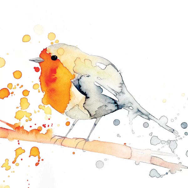 The Cosmic Whale: Robin Bird II by The Cosmic Whale