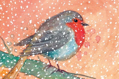 Robin In Winter by The Cosmic Whale canvas print