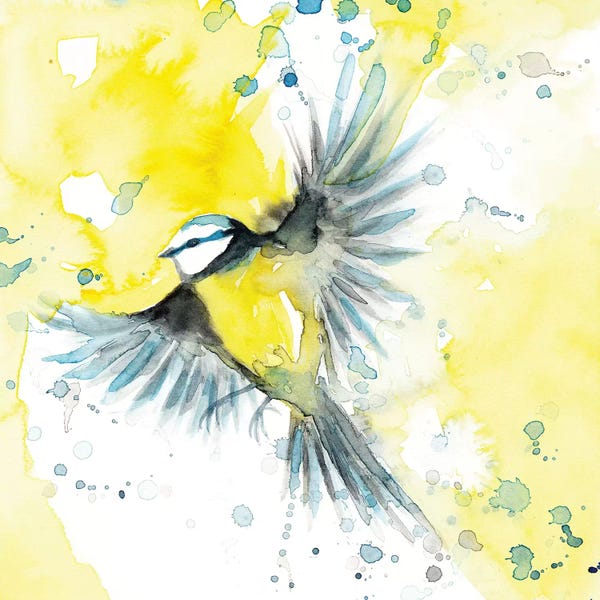 The Cosmic Whale: Tit Blue Bird by The Cosmic Whale