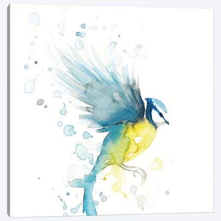 Blue Tit Bird II Canvas Print #TCW3} by The Cosmic Whale Canvas Artwork