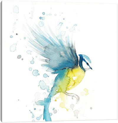 Blue Tit Bird II Canvas Art Print - The Cosmic Whale