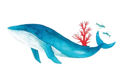 Blue Whale With Coral by The Cosmic Whale canvas print