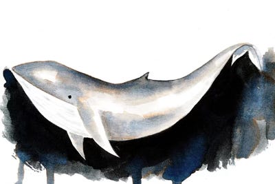 Whale II by The Cosmic Whale canvas print