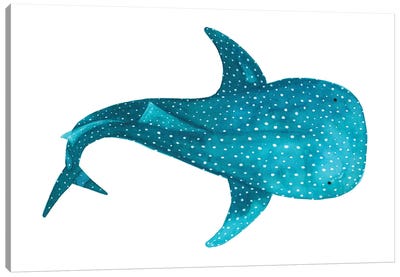 Whale Shark II Canvas Art Print - Shark Art