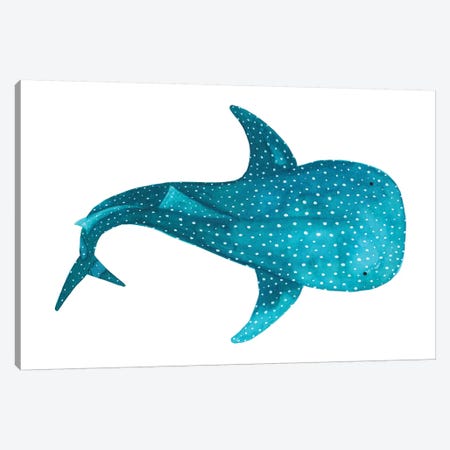 Whale Shark II Canvas Print #TCW46} by The Cosmic Whale Art Print
