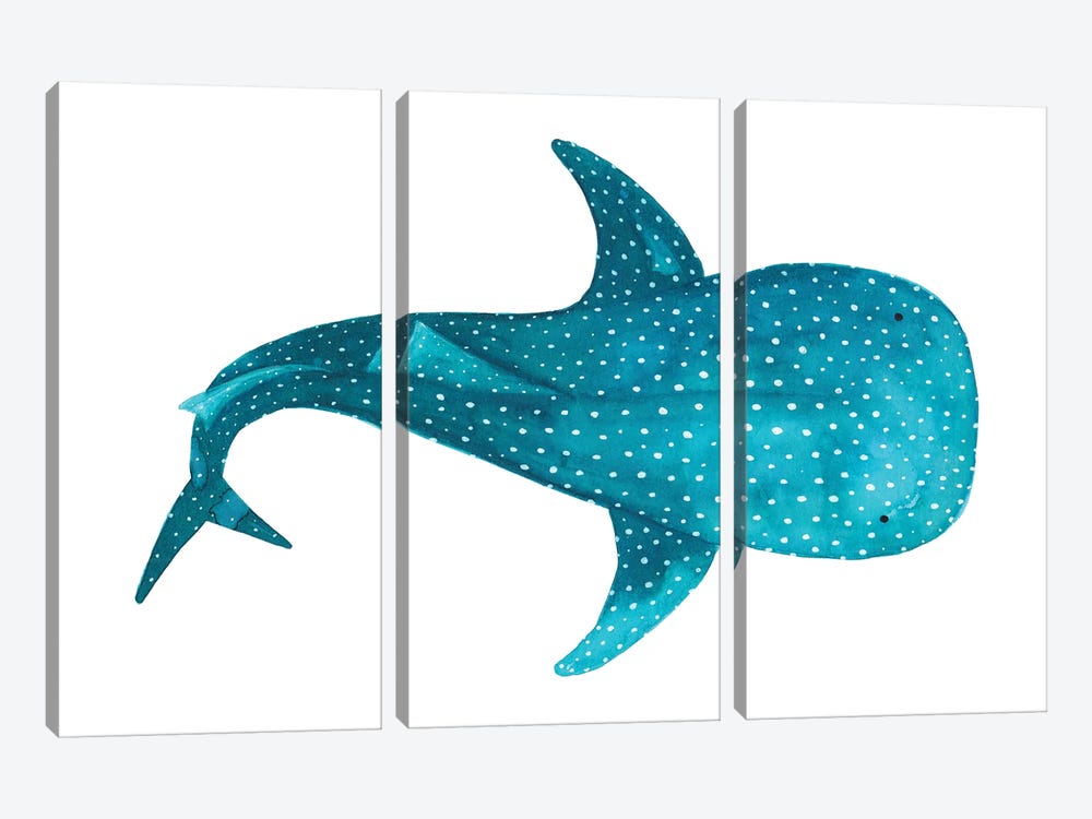 Whale Shark II by The Cosmic Whale 3-piece Canvas Wall Art