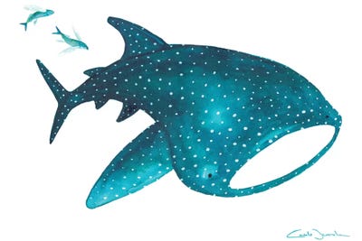 Whale Shark And Fishes by The Cosmic Whale canvas print