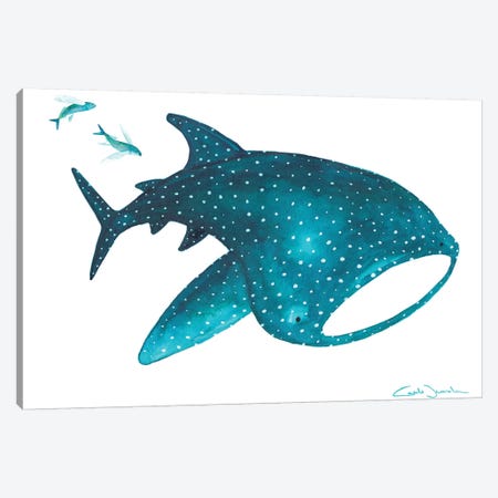 Whale Shark And Fishes Canvas Print #TCW47} by The Cosmic Whale Canvas Print