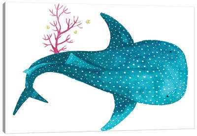 Whale Shark With Coral Canvas Art Print - Shark Art