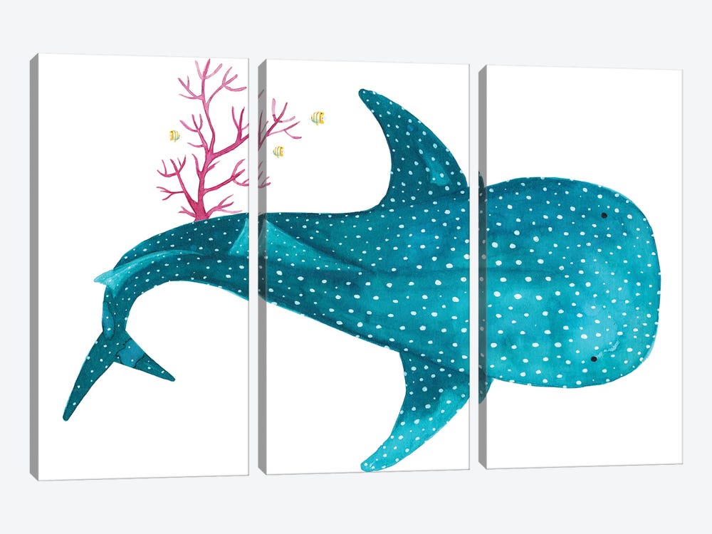 Whale Shark With Coral by The Cosmic Whale 3-piece Canvas Artwork