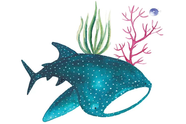 Whale Shark With Corals