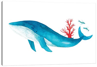 Blue Whale With Coral Canvas Art Print - The Cosmic Whale