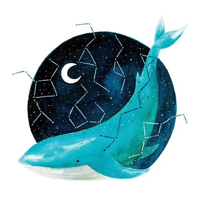 Cosmic Whale III by The Cosmic Whale canvas print