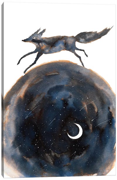 Cosmic Wolf Canvas Art Print - The Cosmic Whale