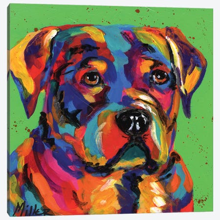 Robbie Rottweiler Canvas Print #TCY101} by Tracy Miller Canvas Artwork