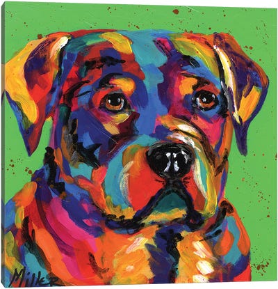 Robbie Rottweiler Canvas Art Print - Rottweiler Art