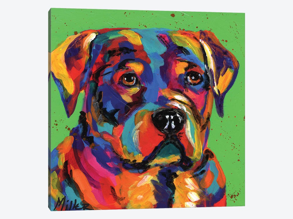Robbie Rottweiler by Tracy Miller 1-piece Canvas Art Print