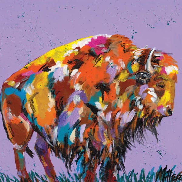 Bison & Buffaloes: Shake It Off by Tracy Miller