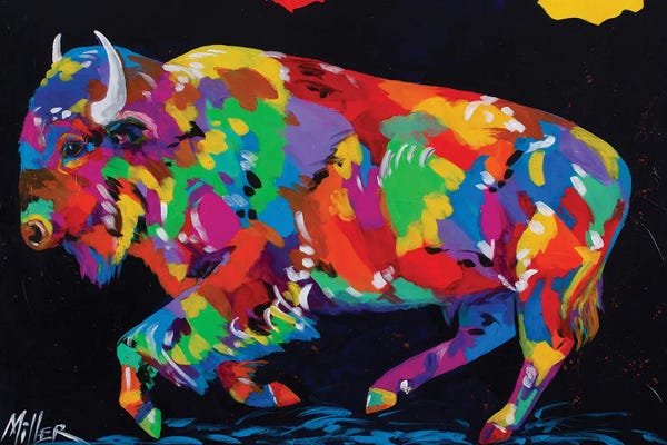 Bison & Buffaloes: Run For Freedom by Tracy Miller