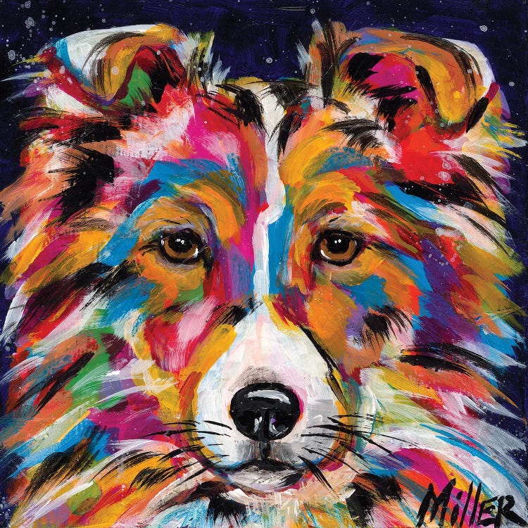 Sheltie by Tracy Miller wall art