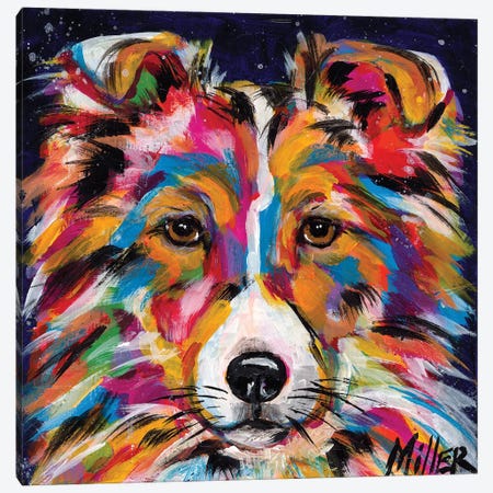 Sheltie Canvas Print #TCY109} by Tracy Miller Canvas Wall Art