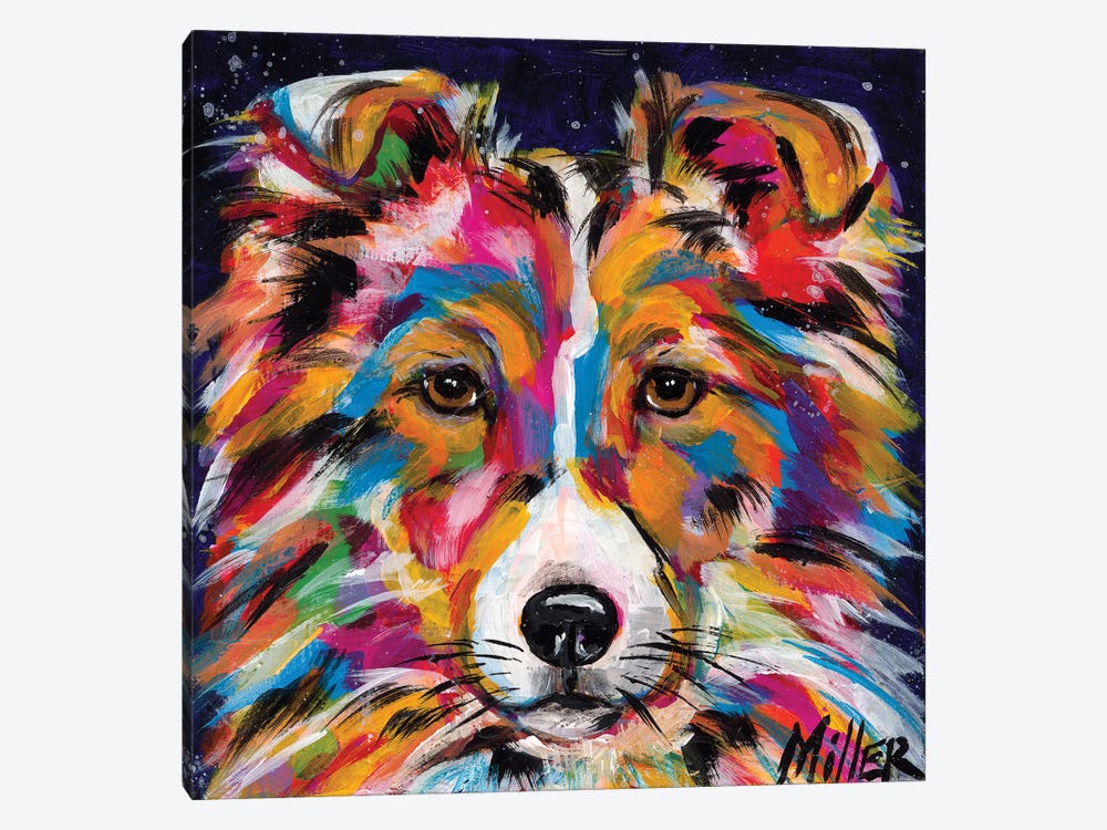 Sheltie by Tracy Miller 1-piece Canvas Print