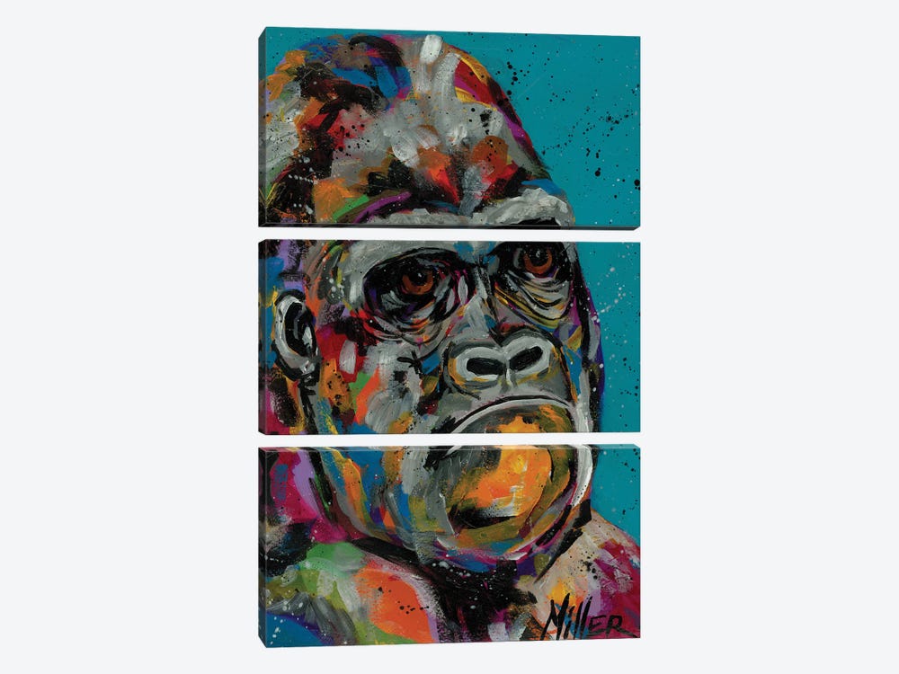 Smug by Tracy Miller 3-piece Canvas Art Print