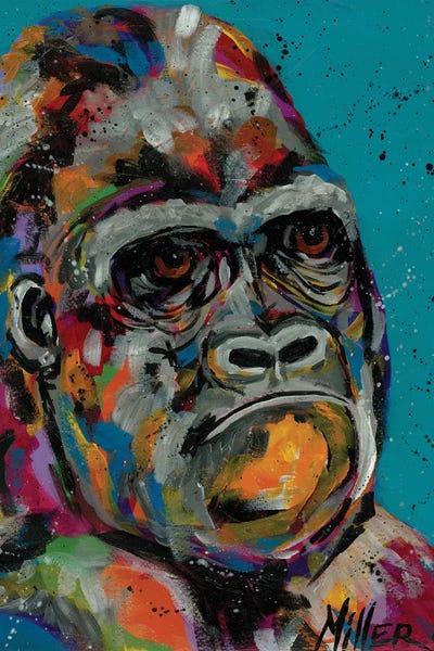 Gorillas: Smug by Tracy Miller