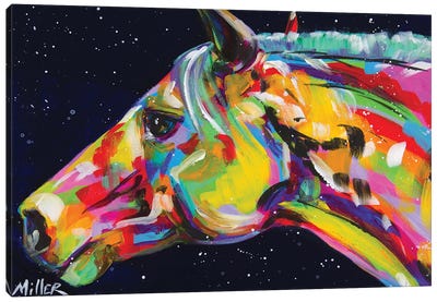Soulful Canvas Art Print - Tracy Miller