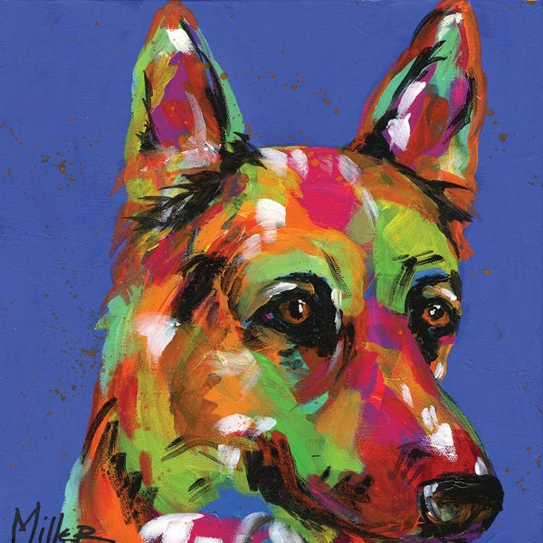 German Shepherds: Shy Shepherd by Tracy Miller