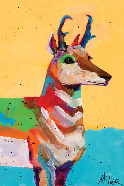 Pronghorns: Stay On Alert by Tracy Miller