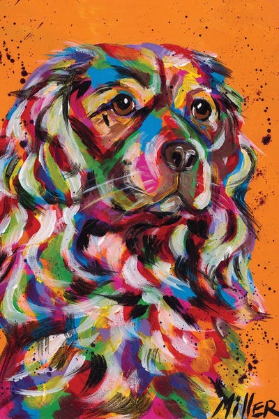 Irish Setters: That Mane! by Tracy Miller