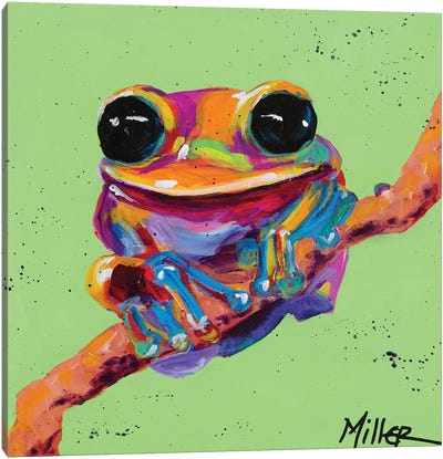 Tree Frog Canvas Art Print - Frog Art