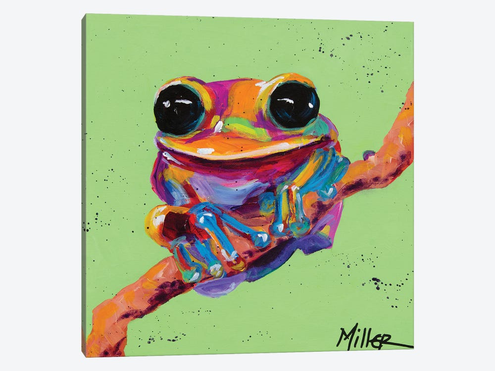 Tree Frog by Tracy Miller 1-piece Canvas Artwork