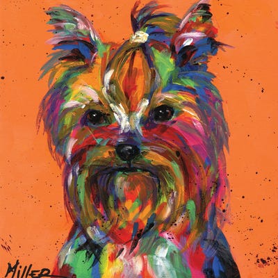 Ya Ya Yorkie by Tracy Miller metal wall art