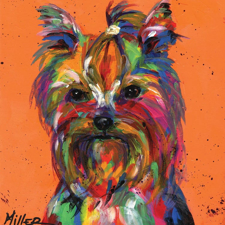 Ya Ya Yorkie by Tracy Miller wall art