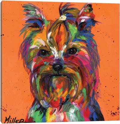 Ya Ya Yorkie Canvas Art Print - Terriers