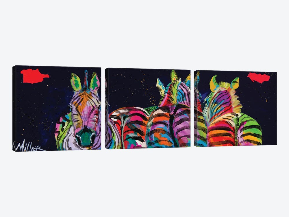 Zebras In A Row by Tracy Miller 3-piece Canvas Wall Art