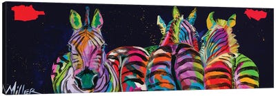 Zebras In A Row Canvas Art Print