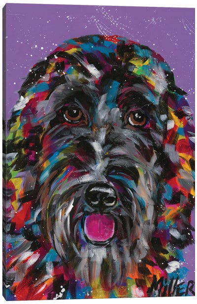 Labradoodle Canvas Art Print - Tracy Miller
