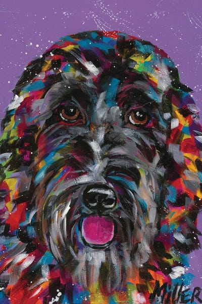 Labradoodles: Labradoodle by Tracy Miller
