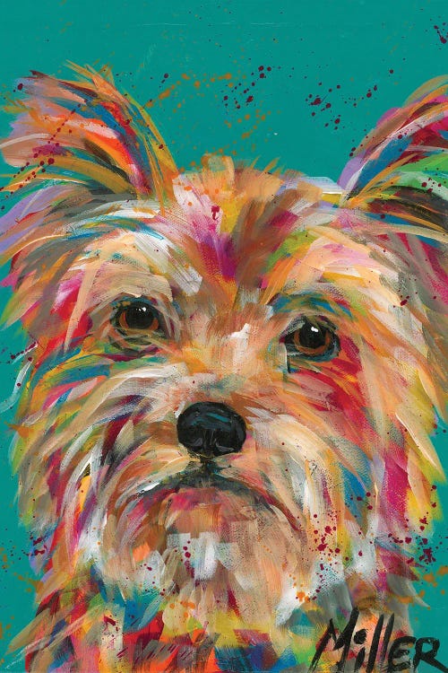 Scruffy Yorkie by Tracy Miller wall art