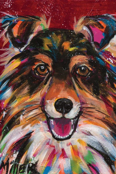 Sheltie Smile by Tracy Miller framed wall art